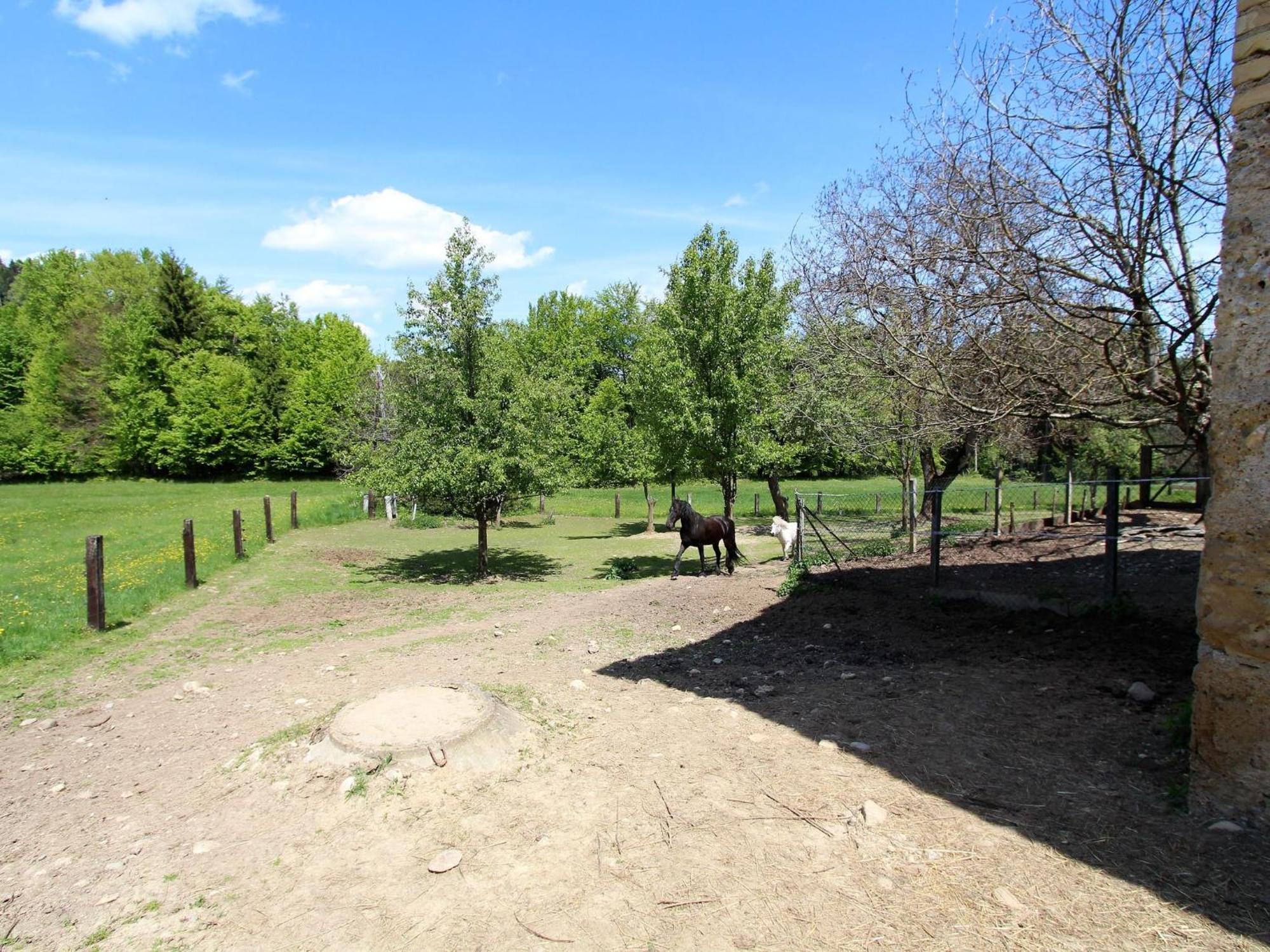 Apartment In Koettmannsdorf Near Bathing Lakes Kottmannsdorf Εξωτερικό φωτογραφία